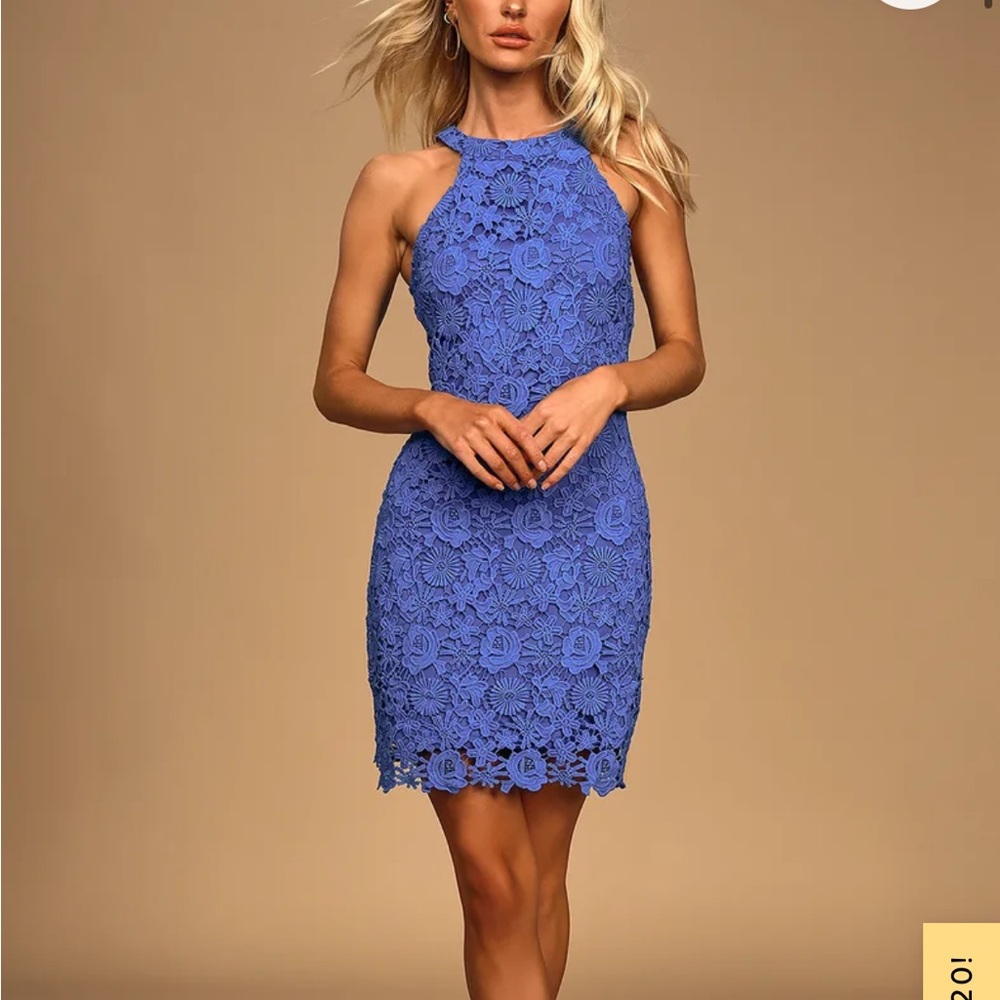 Lulus love poem blue lace dress